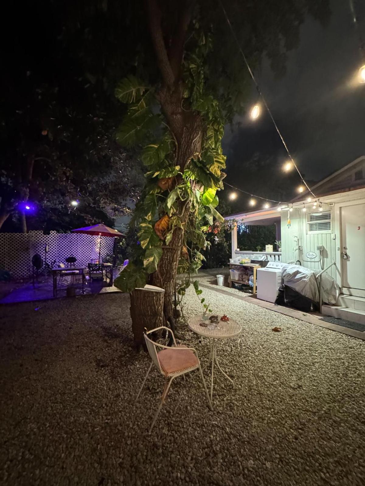 Deluxe Room In Best Location Miami In A 2 Bedrooms Unit - Parking, Laundry And Luggage Storage Exteriör bild